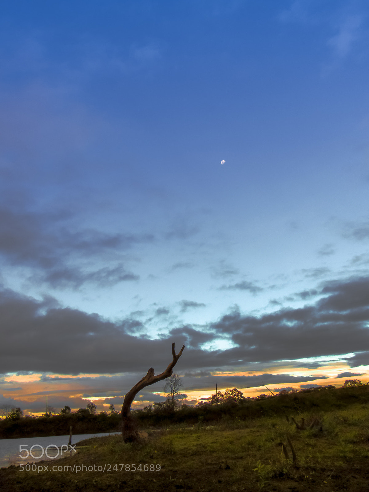 Canon PowerShot SX530 HS sample photo. Moonrise and sunset photography