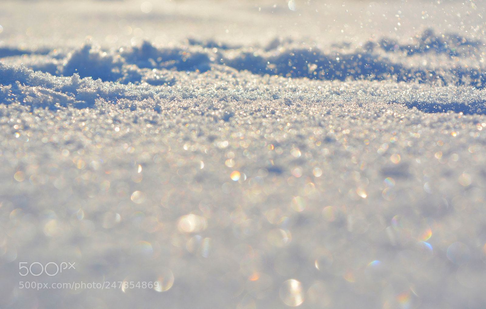 Nikon D5200 sample photo. The last sparkling of photography
