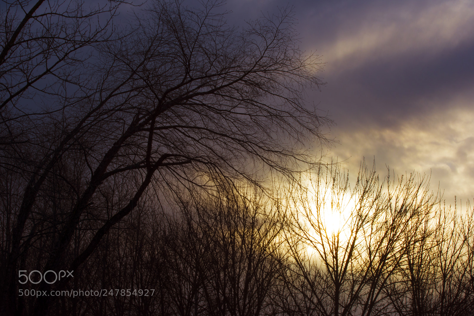Nikon D7200 sample photo. Breaking through photography