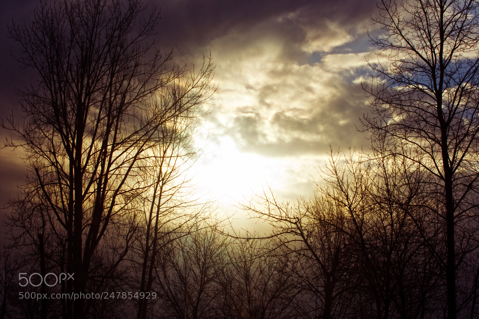 Nikon D7200 sample photo. Breaking through photography