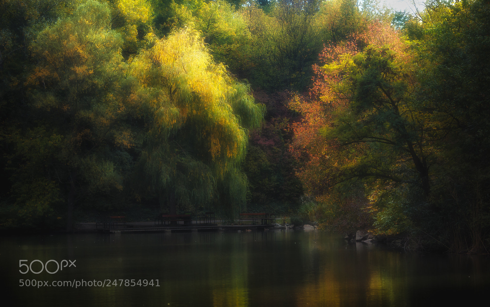 Canon EOS 550D (EOS Rebel T2i / EOS Kiss X4) sample photo. Herbst im park oberlaa photography
