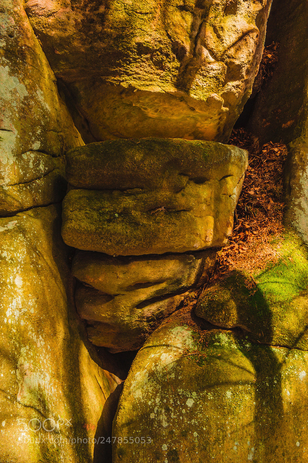 Nikon D700 sample photo. The game of imagination photography