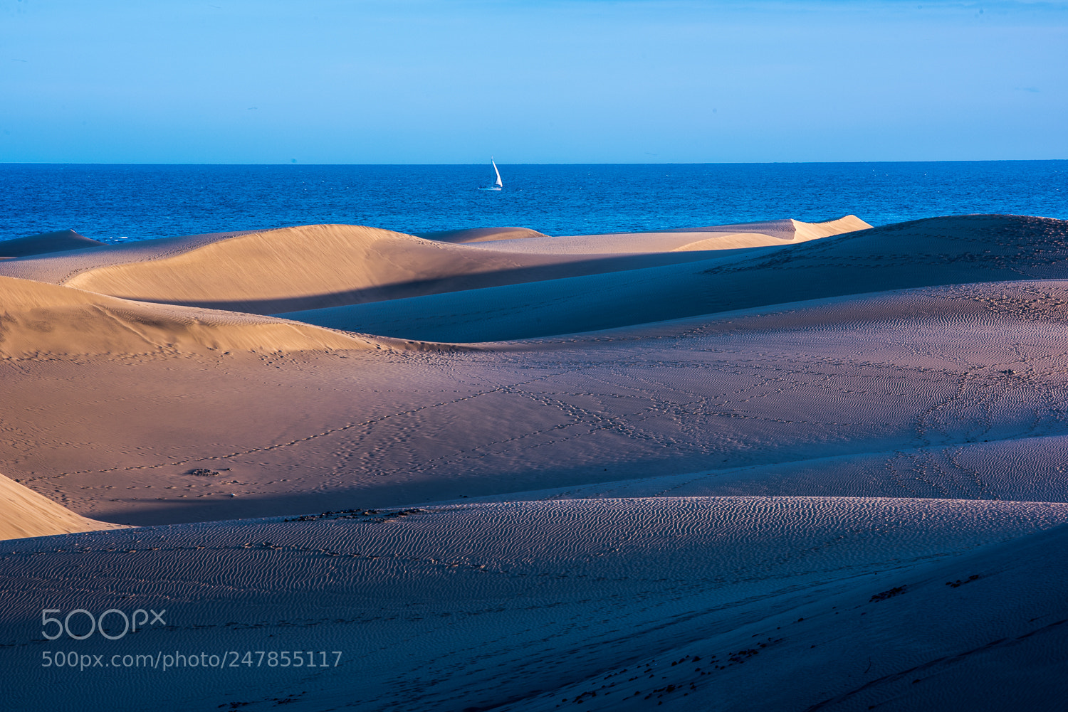Nikon D810 sample photo. Maspalomas dunes photography