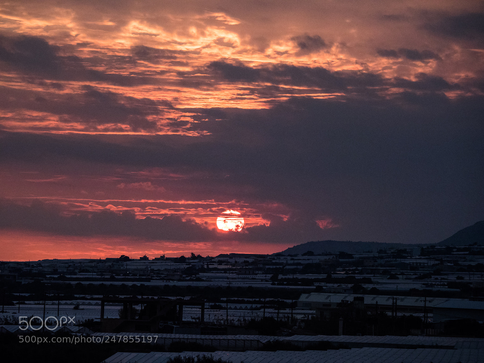 Olympus OM-D E-M1 Mark II sample photo. Sunset photography