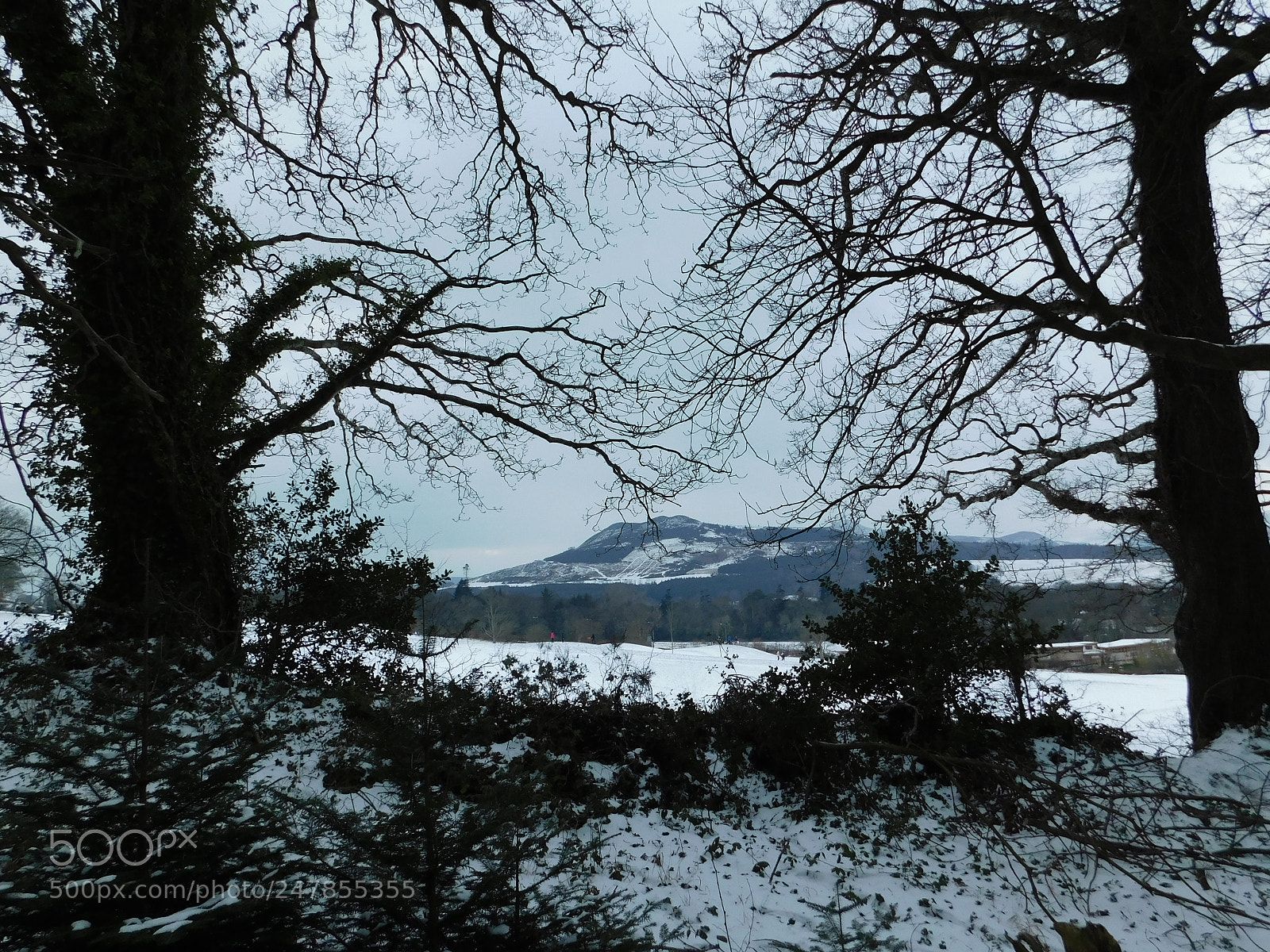 Nikon Coolpix B500 sample photo. Beast from the east photography