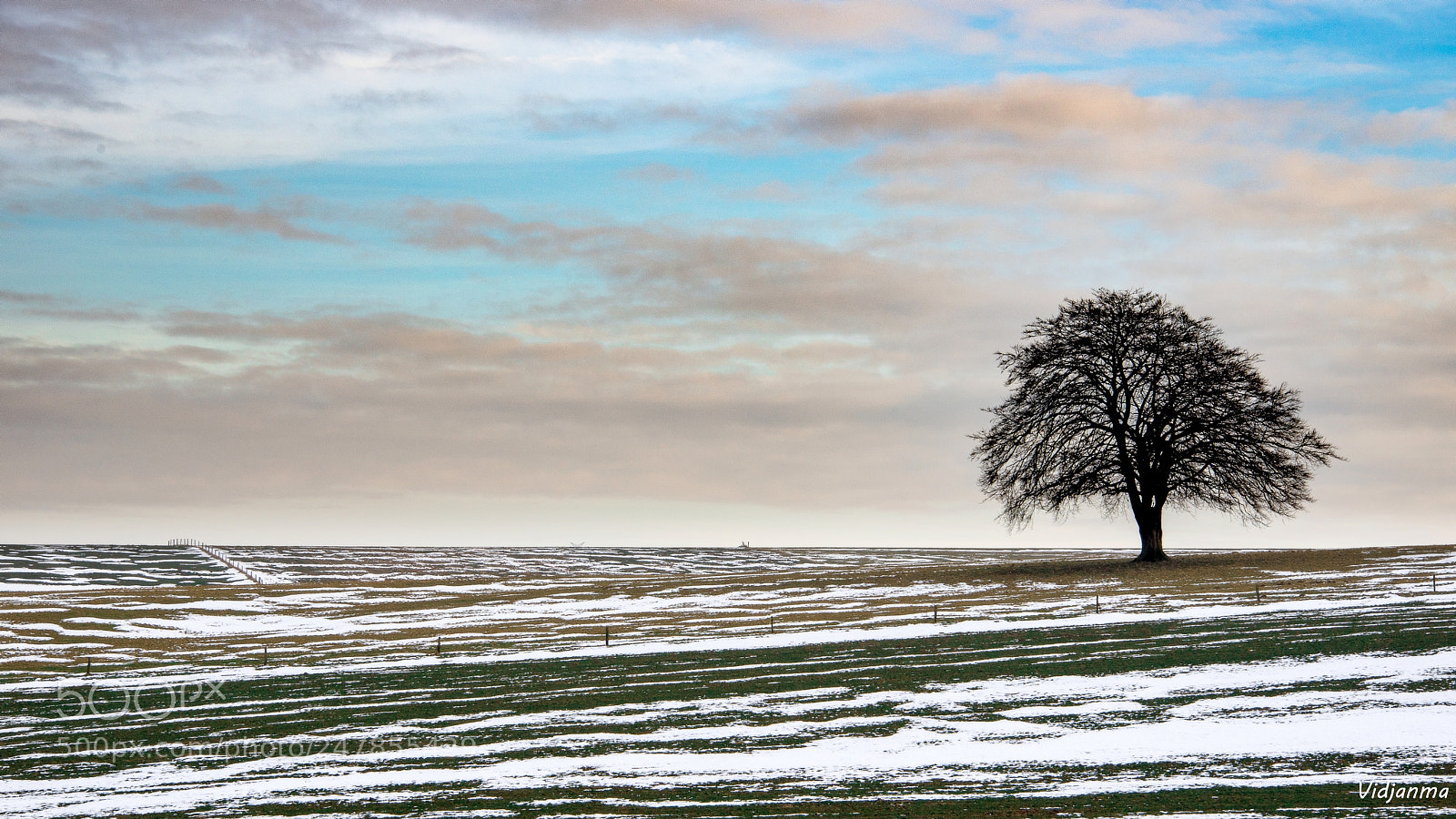 Nikon D610 sample photo. Spring is in the photography