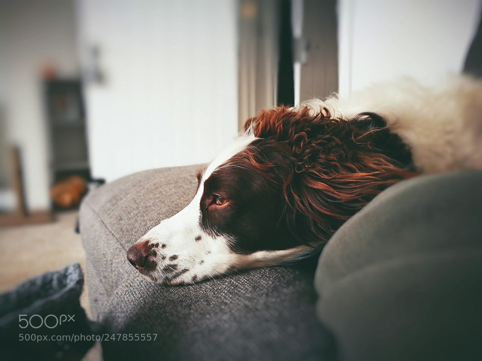 HUAWEI P9 sample photo. Untitled photography