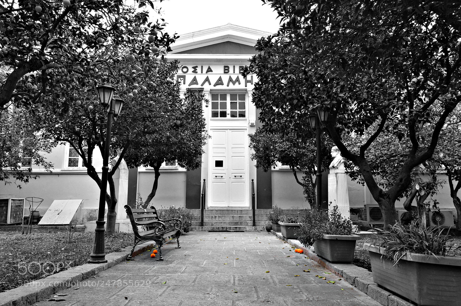 Nikon D3200 sample photo. Orange photography