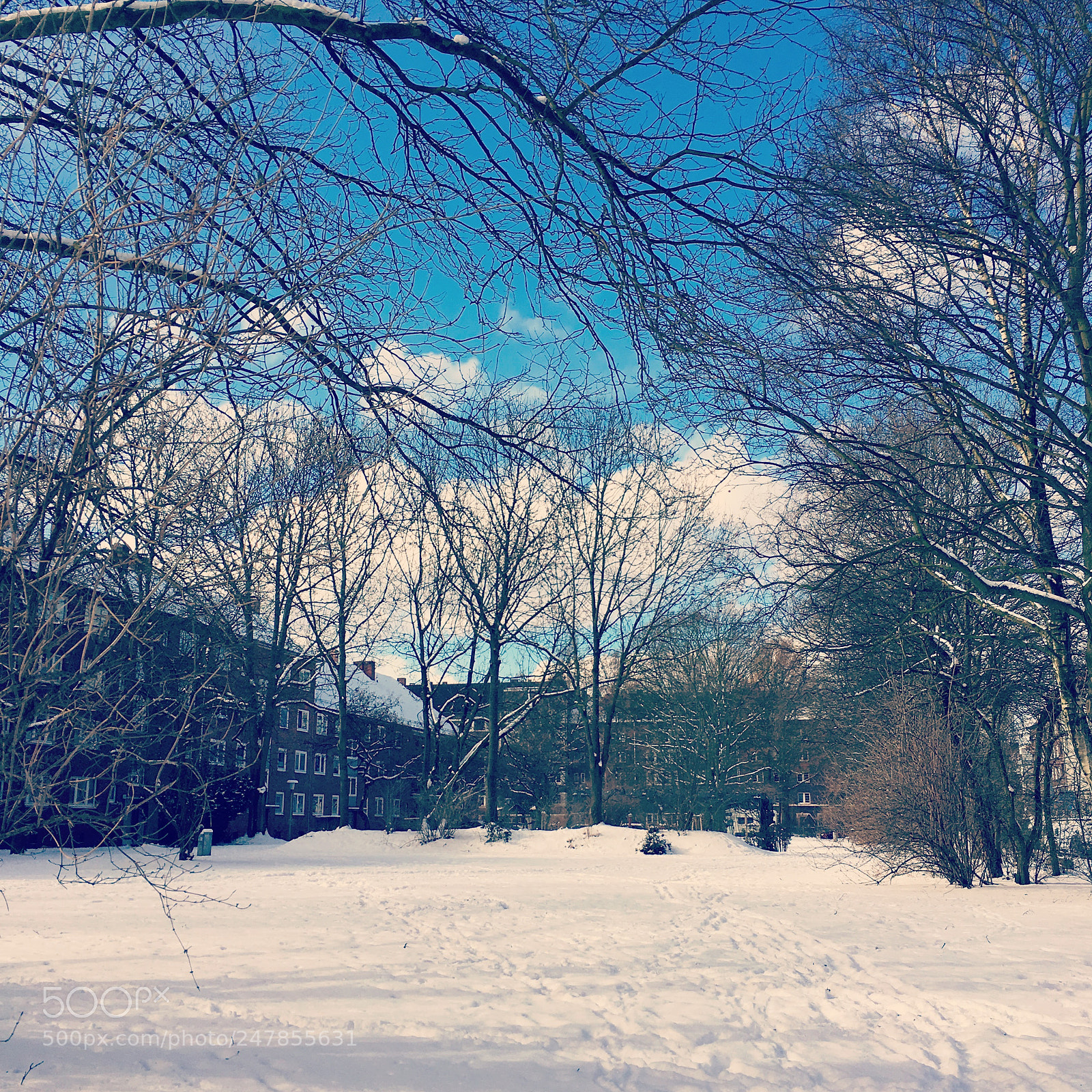 Apple iPhone 6s sample photo. Winter wonderland hamburg photography