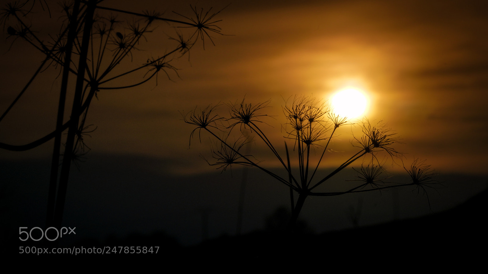 Sony a7R III sample photo. Sunset photography