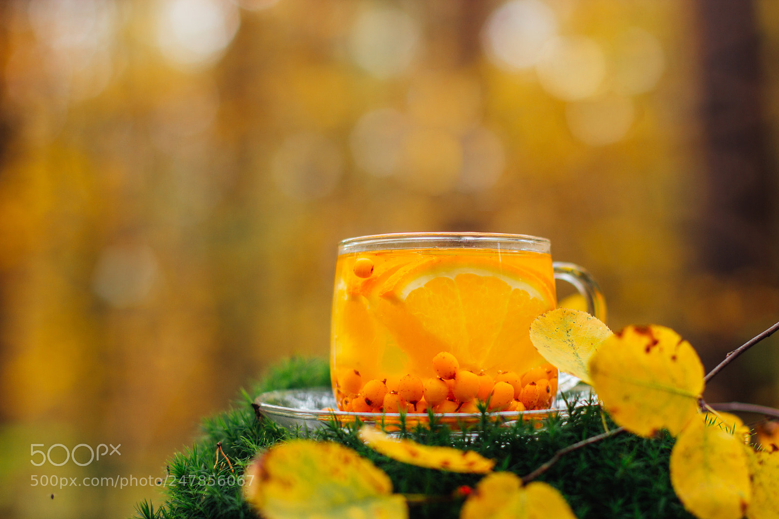 Canon EOS 600D (Rebel EOS T3i / EOS Kiss X5) sample photo. Orange and sea-buckthorn tea photography