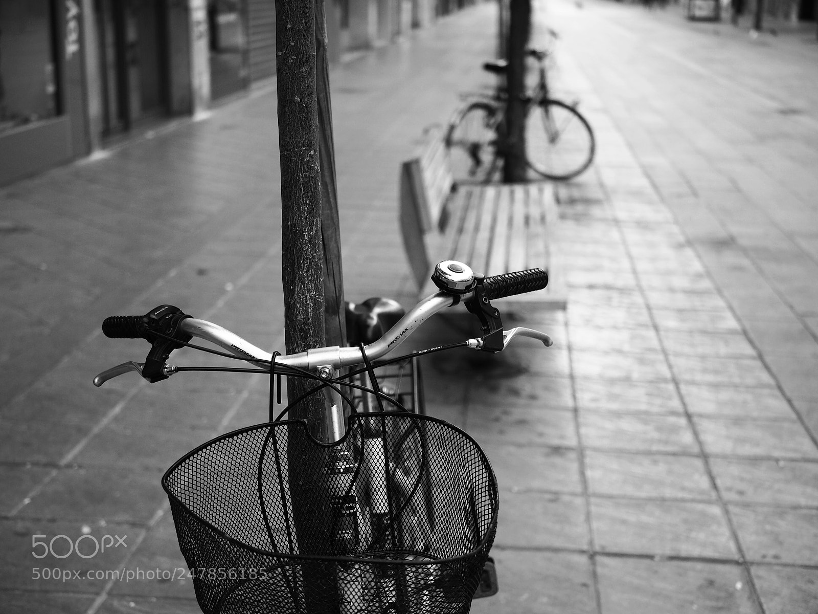 Olympus PEN E-PL5 sample photo. Untitled photography
