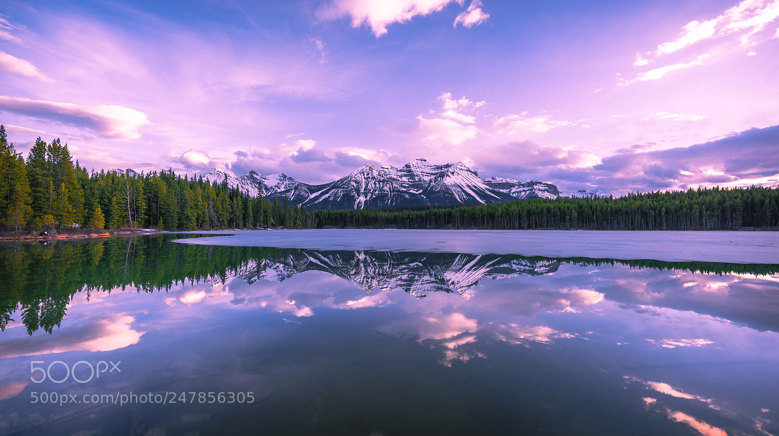 Nikon D810 sample photo. Herbert lake reflections photography
