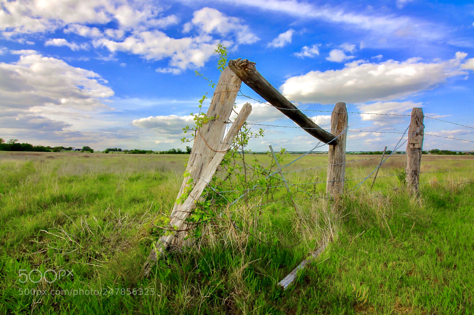 Canon EOS 100D (EOS Rebel SL1 / EOS Kiss X7) sample photo. Country fence in spring photography