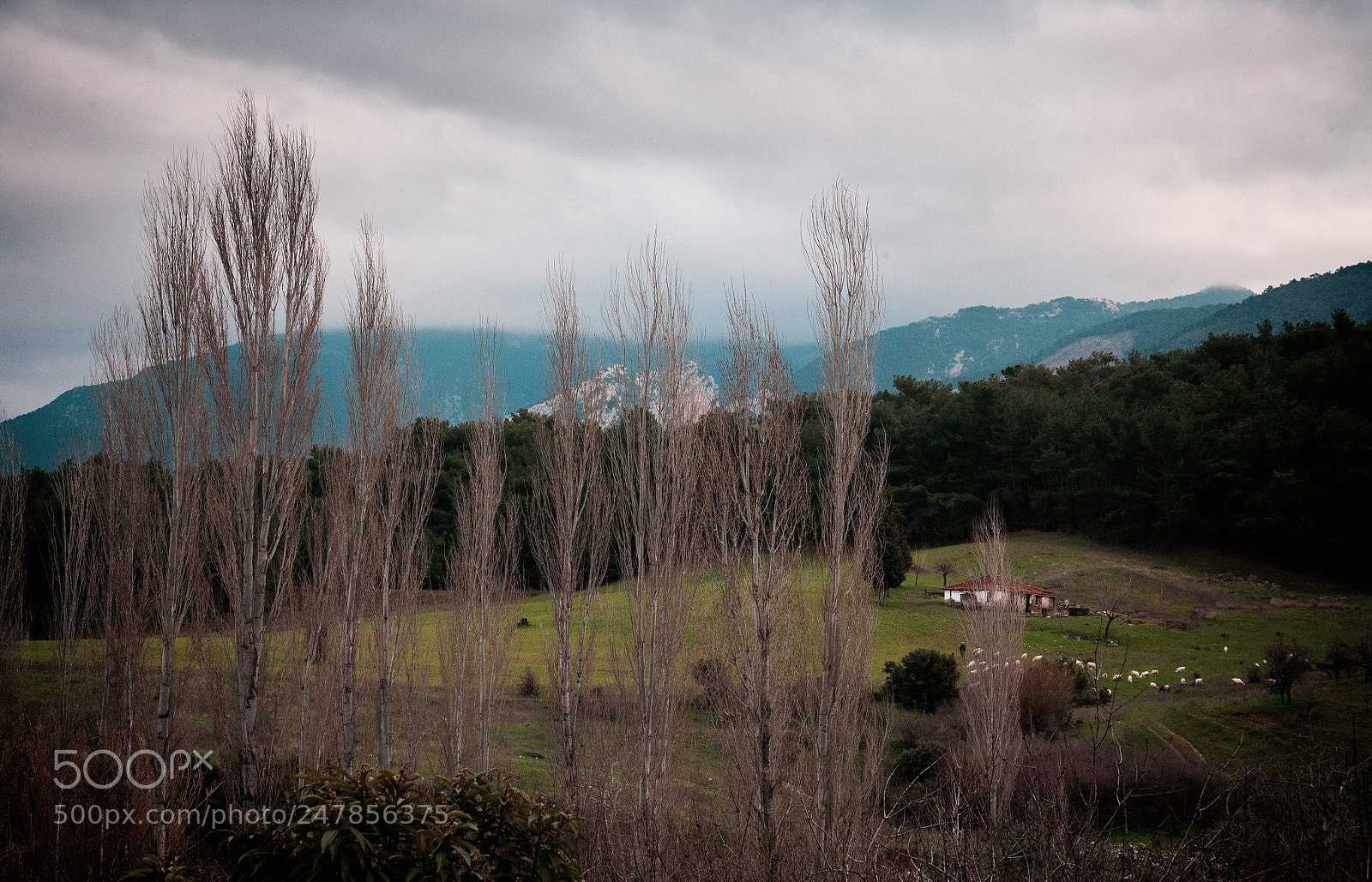 Canon EOS 5D sample photo. Untitled photography