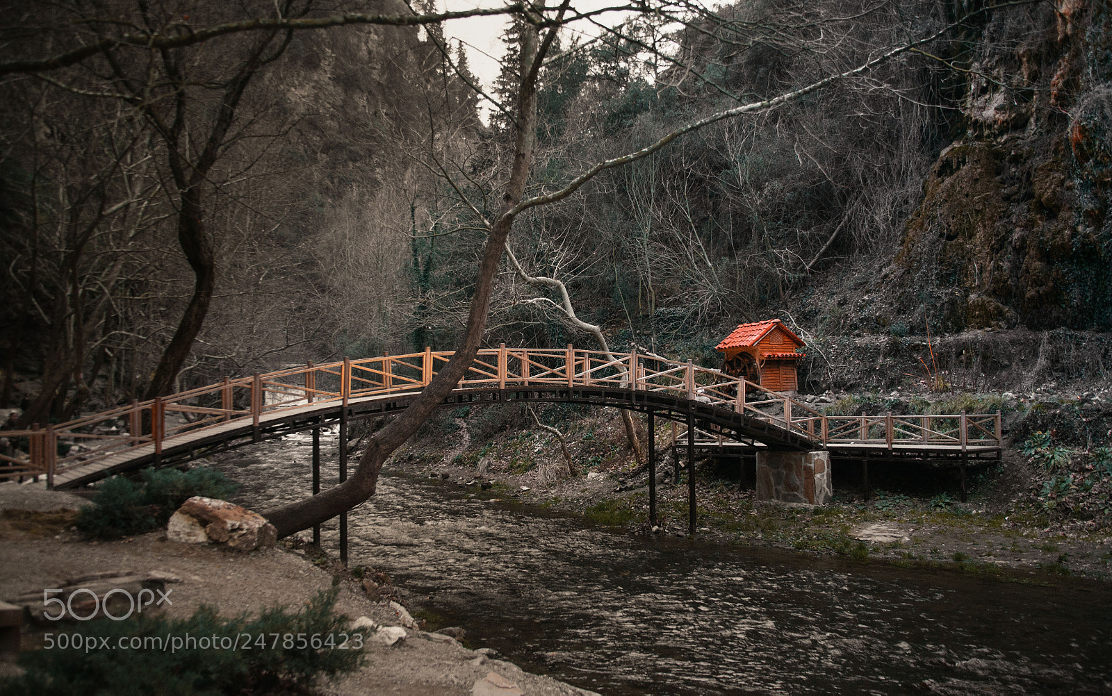 Canon EOS 5D sample photo. Img photography