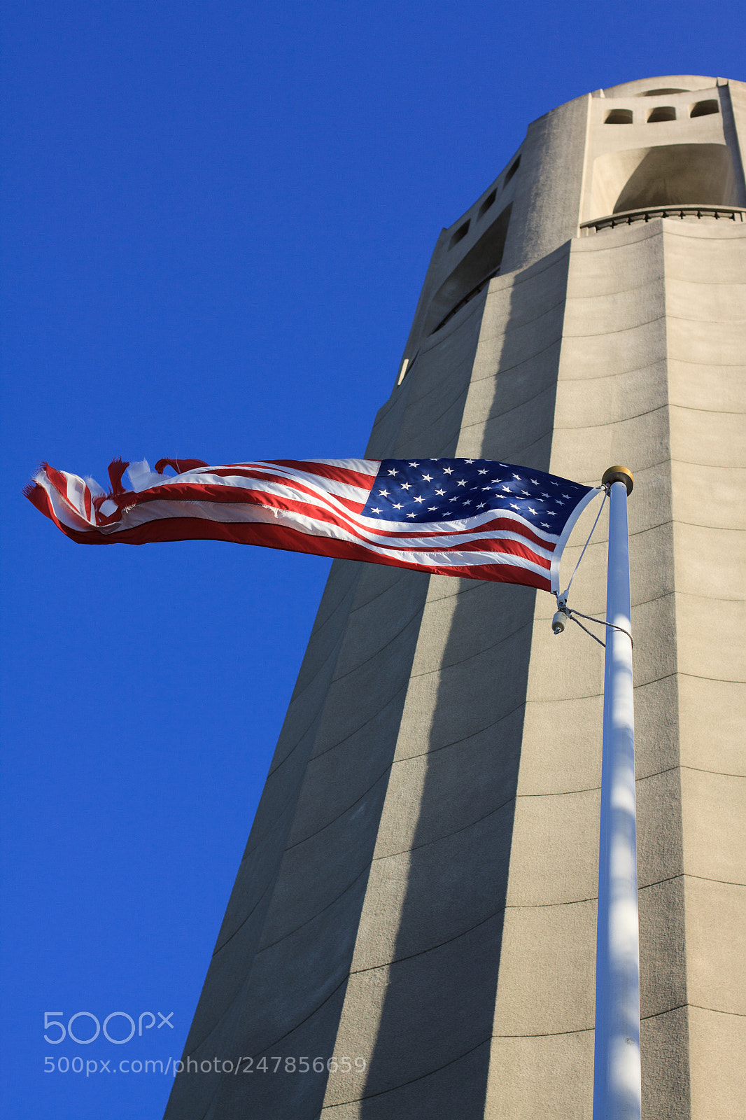 Canon EOS 50D sample photo. Coit tower photography