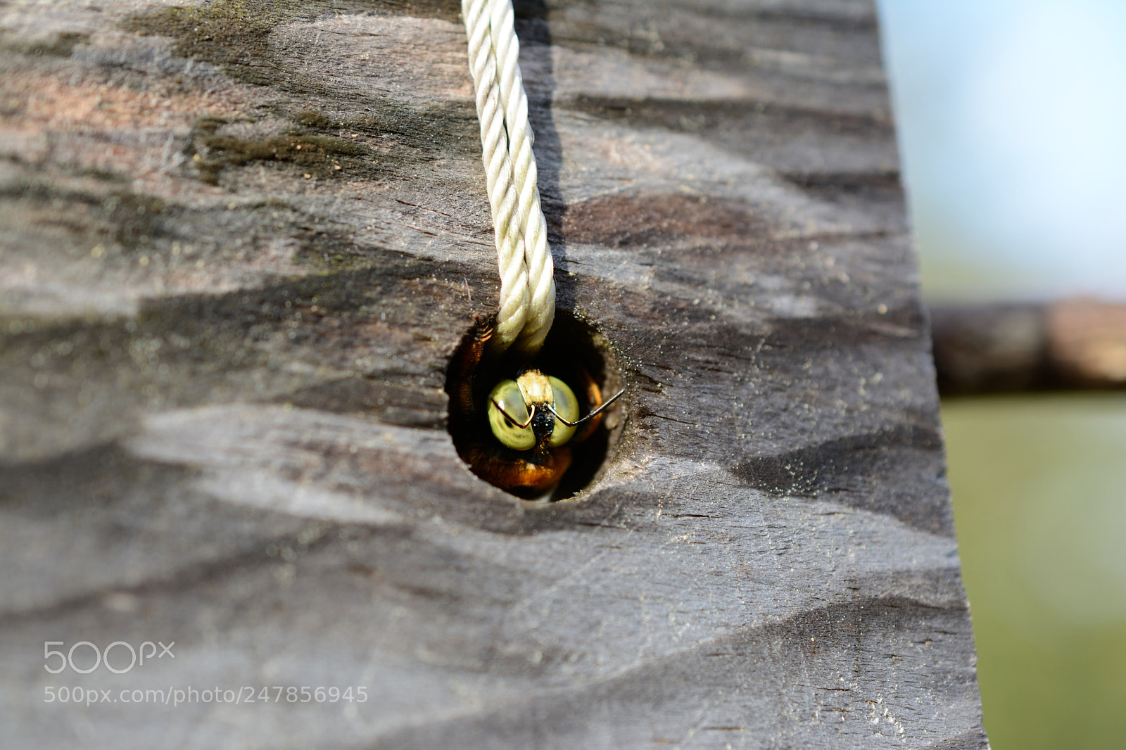 Nikon D7100 sample photo. Rest photography