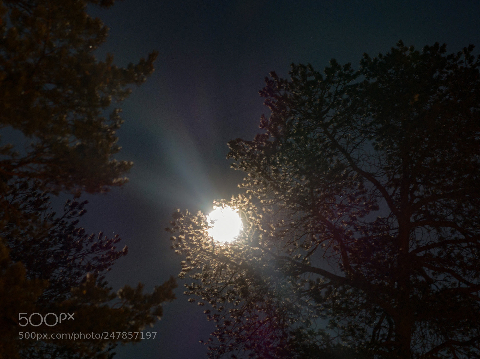 Sony SLT-A58 sample photo. Moonlight photography