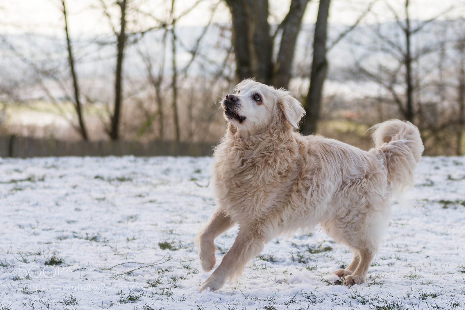 Nikon D7200 sample photo. Old man sammy photography