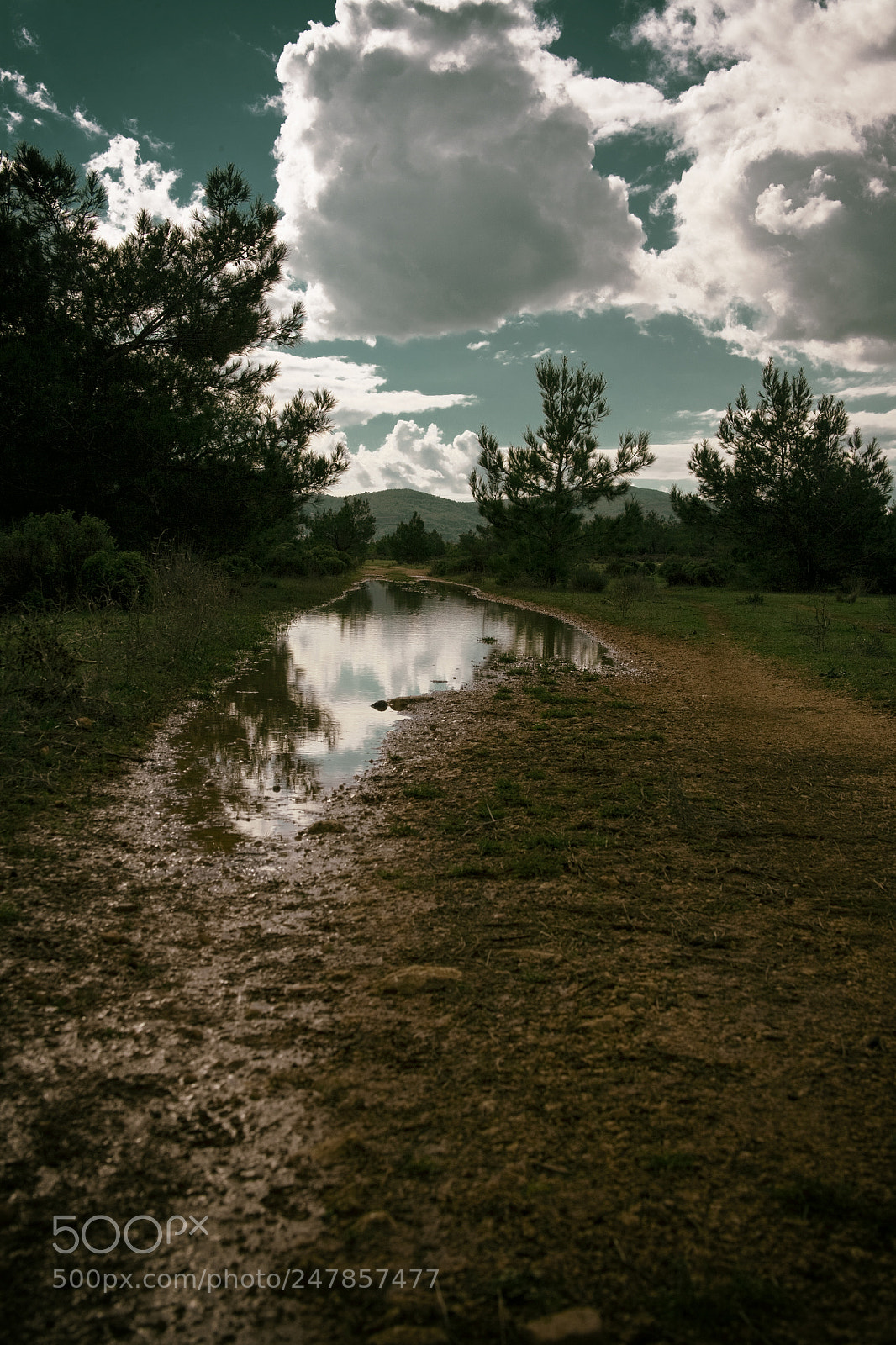 Canon EOS 5D sample photo. Untitled photography