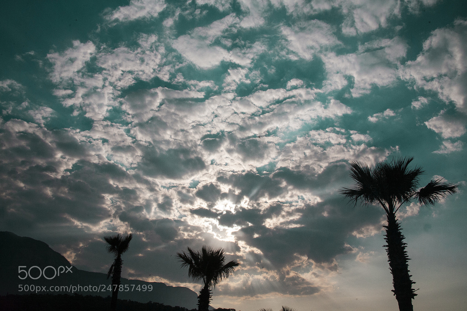 Canon EOS 5D sample photo. Untitled photography