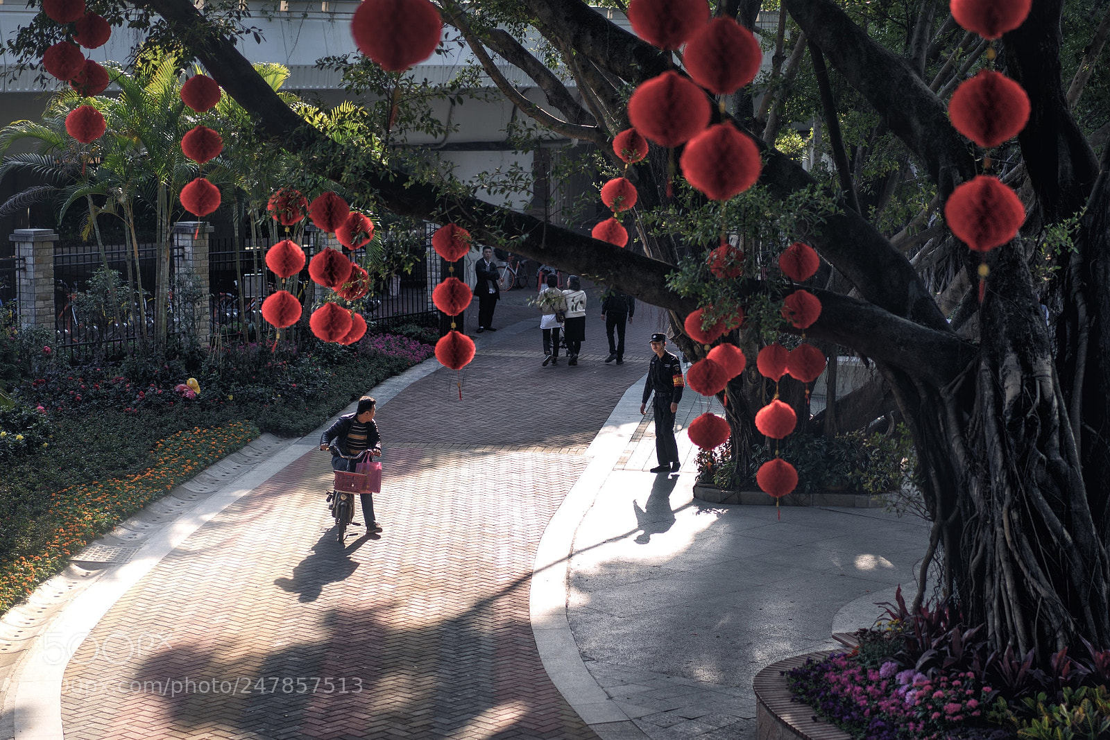 Sony a7 sample photo. 公园午后 photography