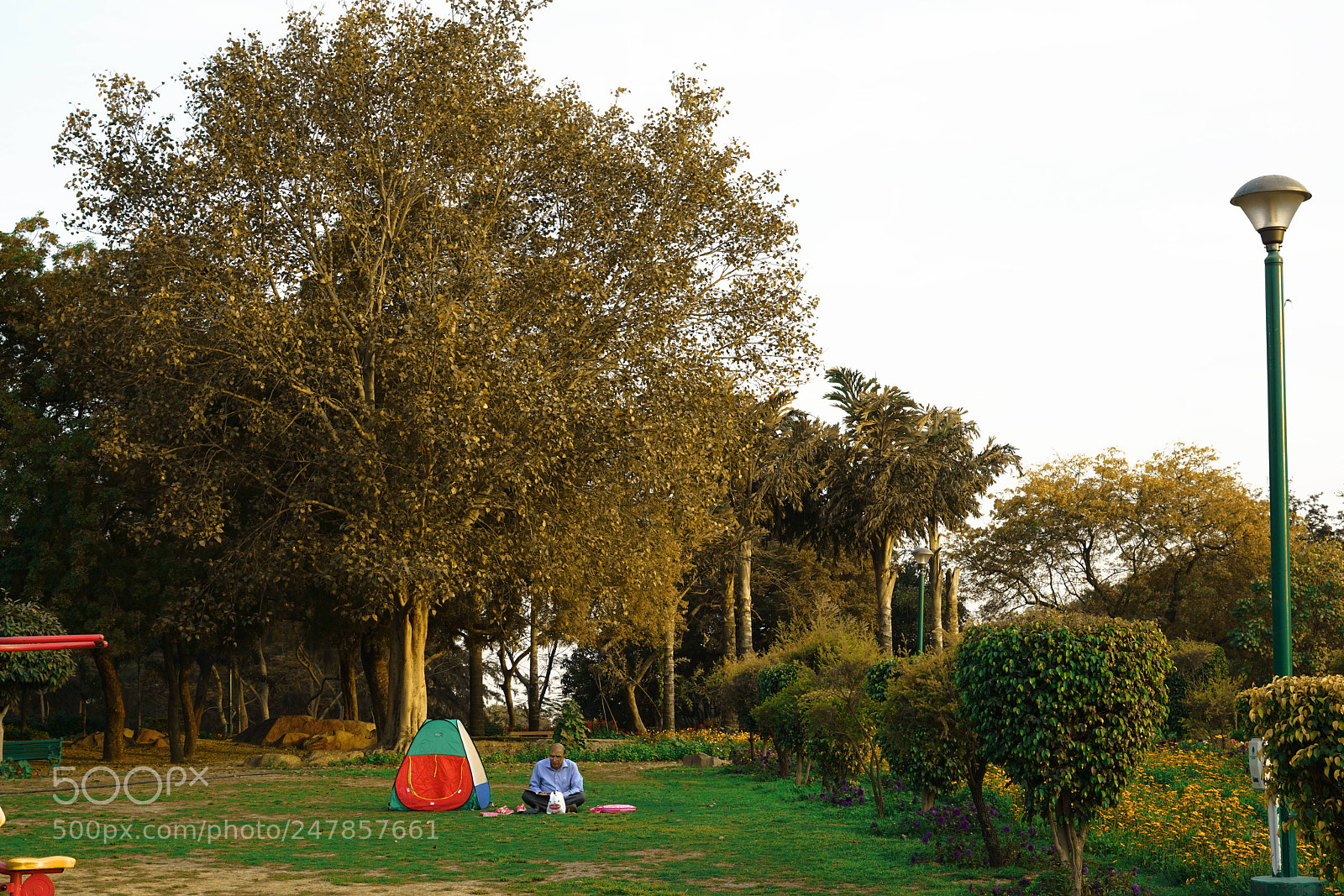Sony a7R II sample photo. Nehru park photography