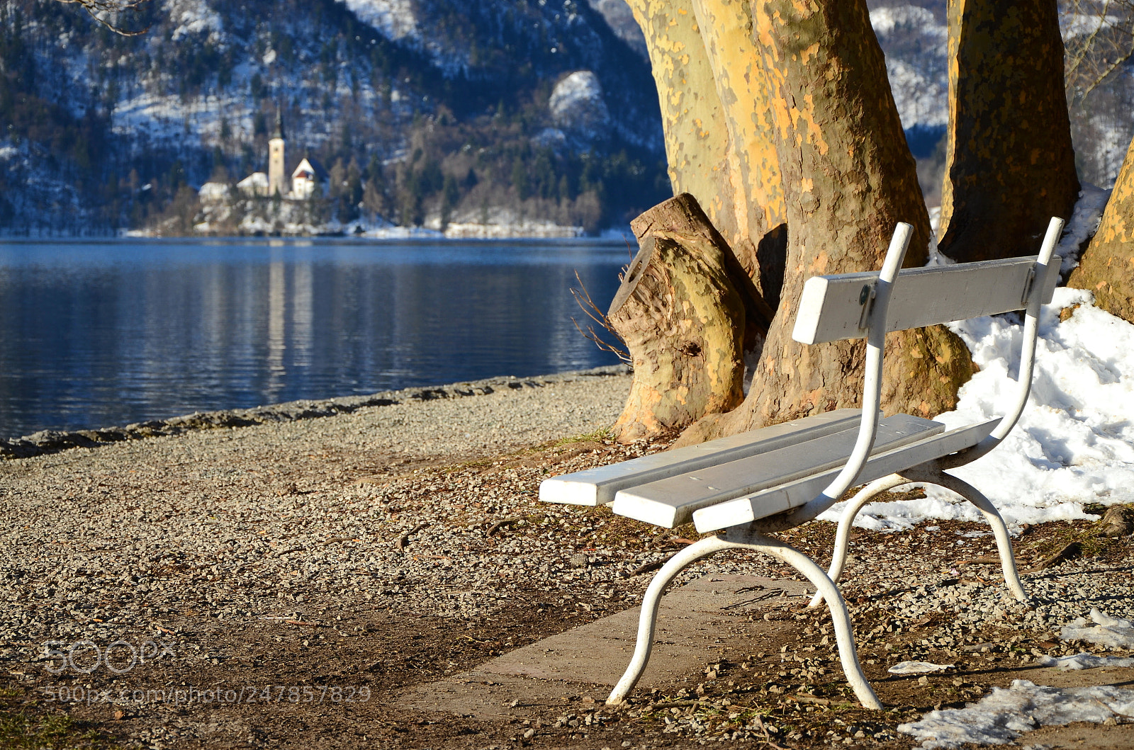 Nikon D7000 sample photo. Bled lake, slovenia photography