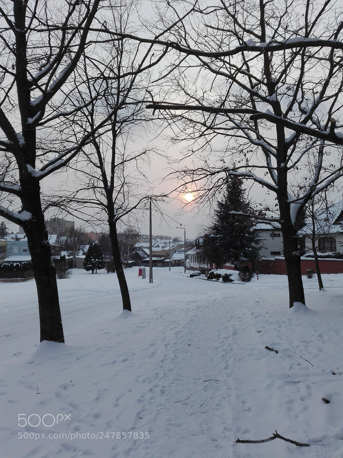 HUAWEI P8 Lite sample photo. Untitled photography