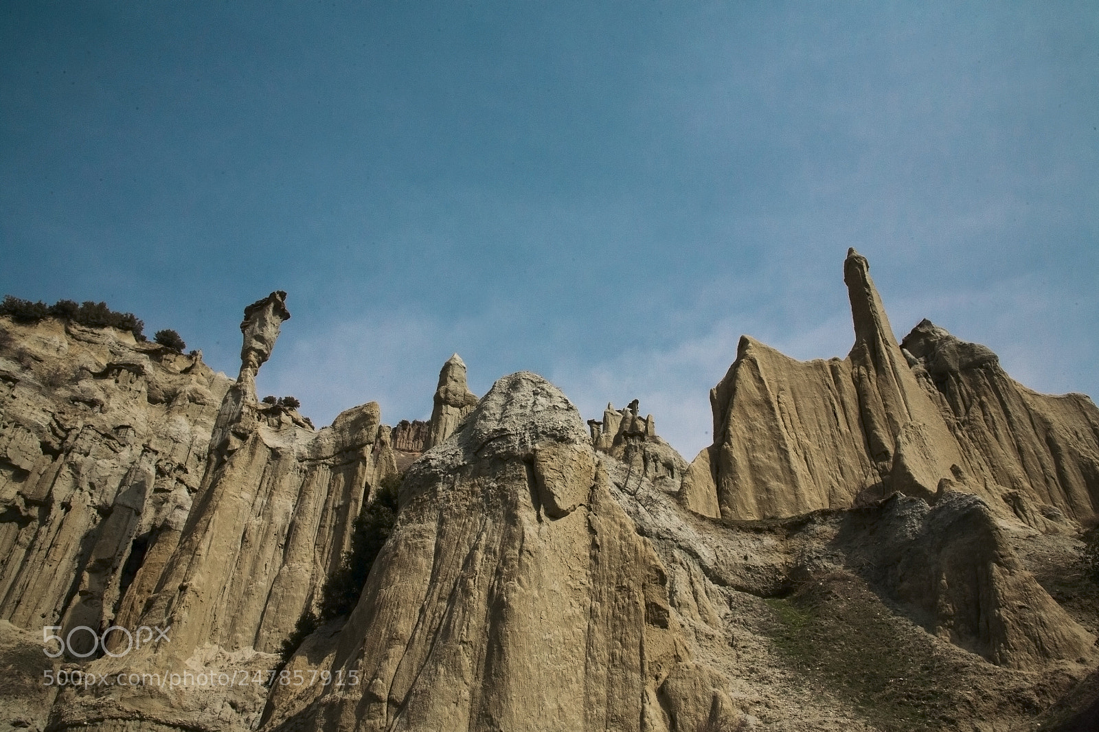 Canon EOS 5D sample photo. Untitled photography