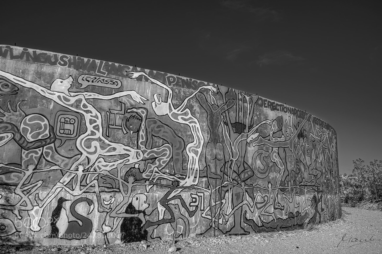 Nikon D90 sample photo. Desert art photography