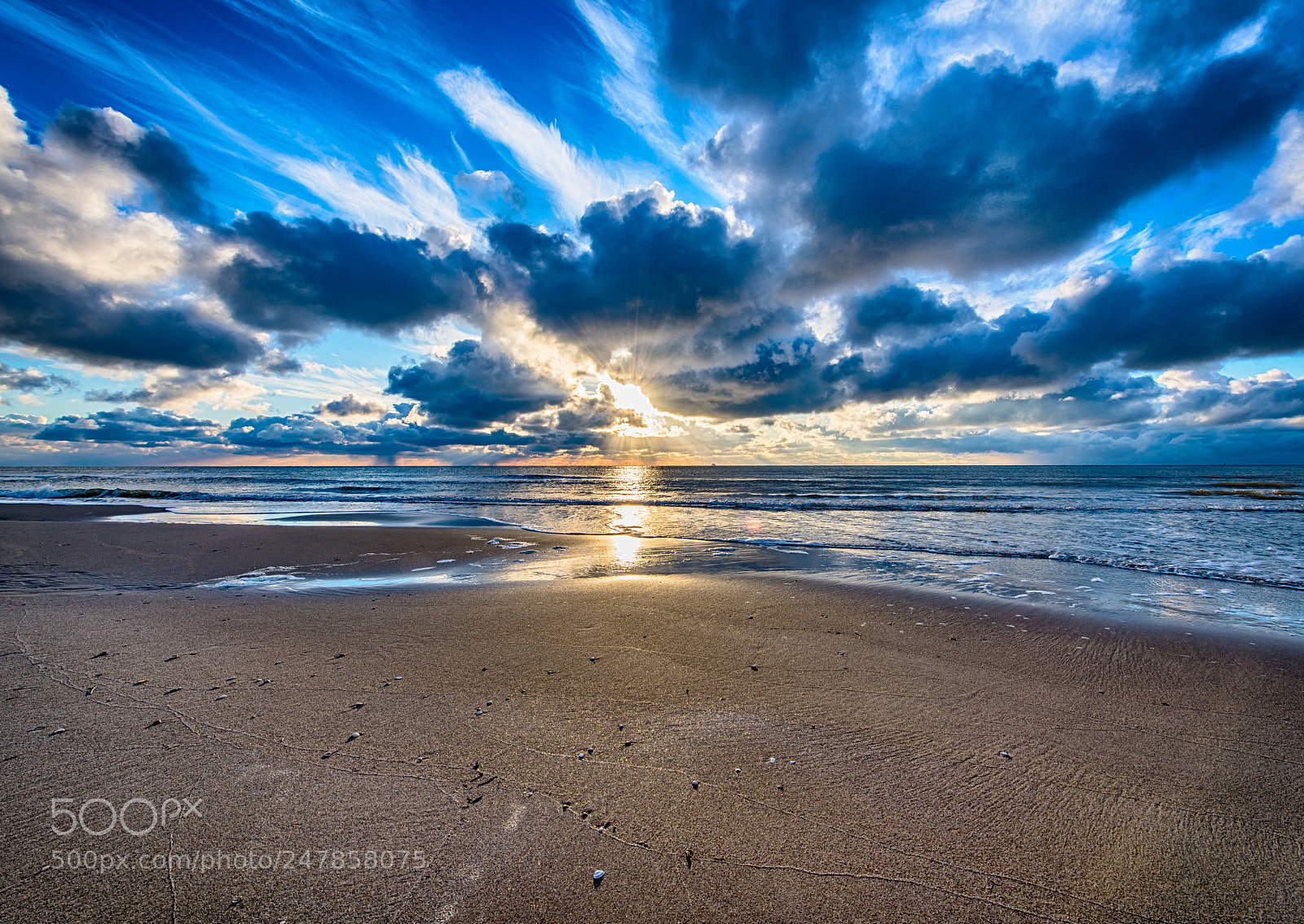 Nikon D850 sample photo. Dutch winter beachscapes photography