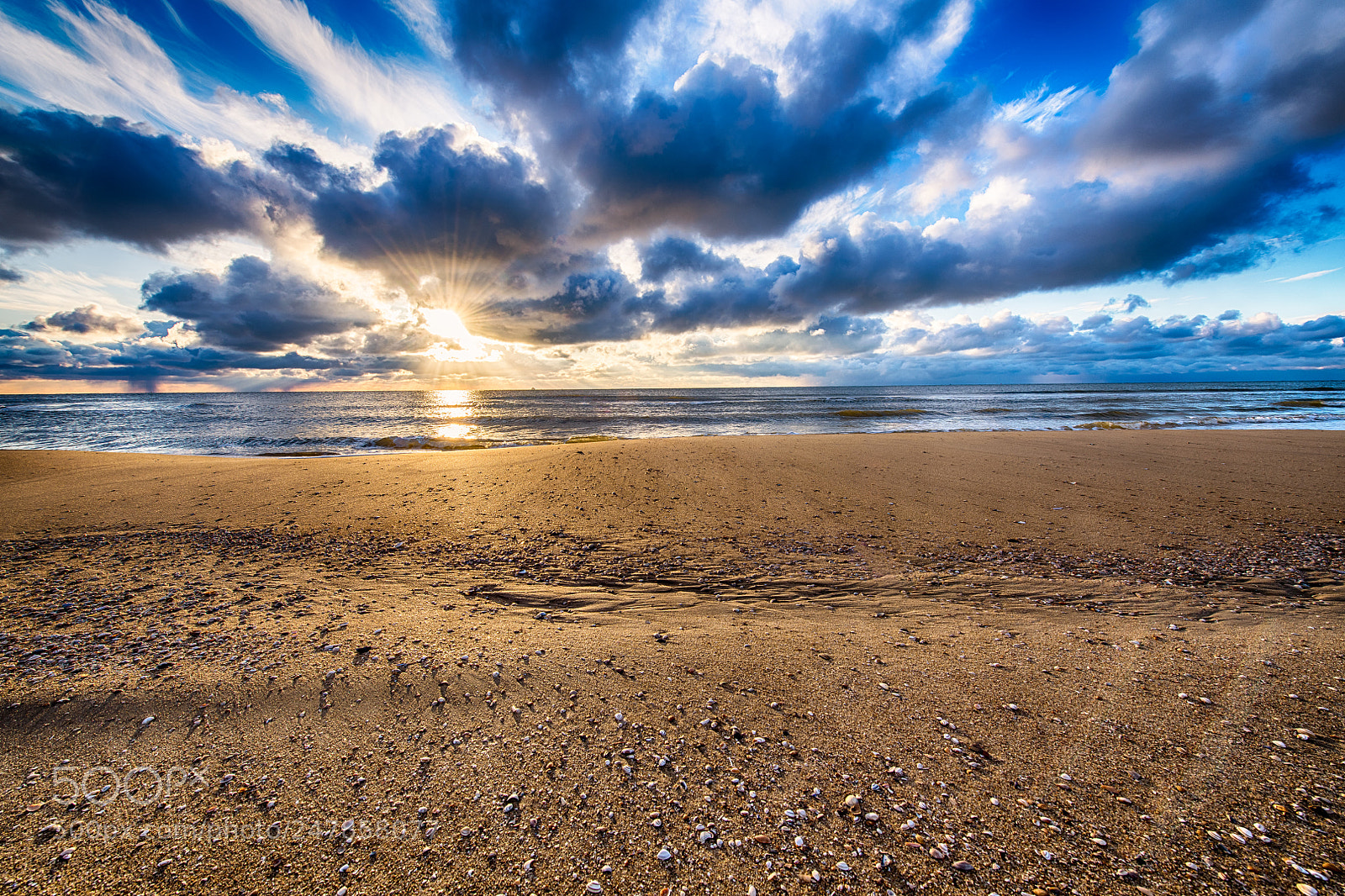 Nikon D850 sample photo. Dutch winter beachscapes photography