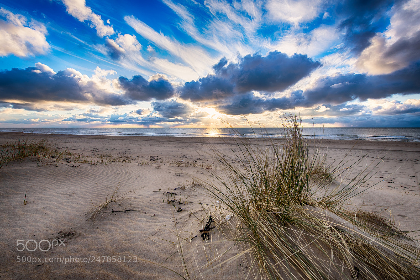 Nikon D850 sample photo. Dutch winter beachscapes photography