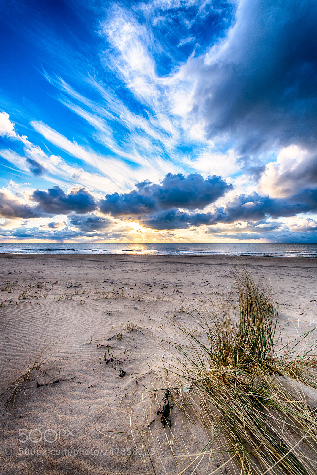 Nikon D850 sample photo. Dutch winter beachscapes photography