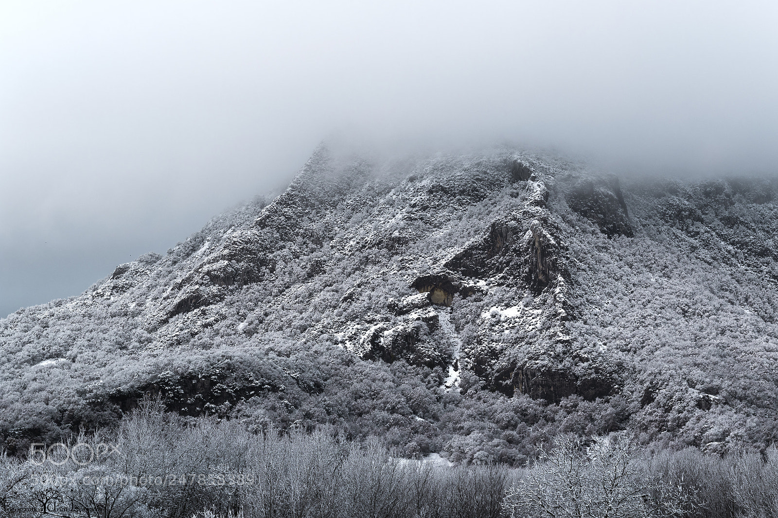Canon EOS 7D Mark II sample photo. Una foto de las photography