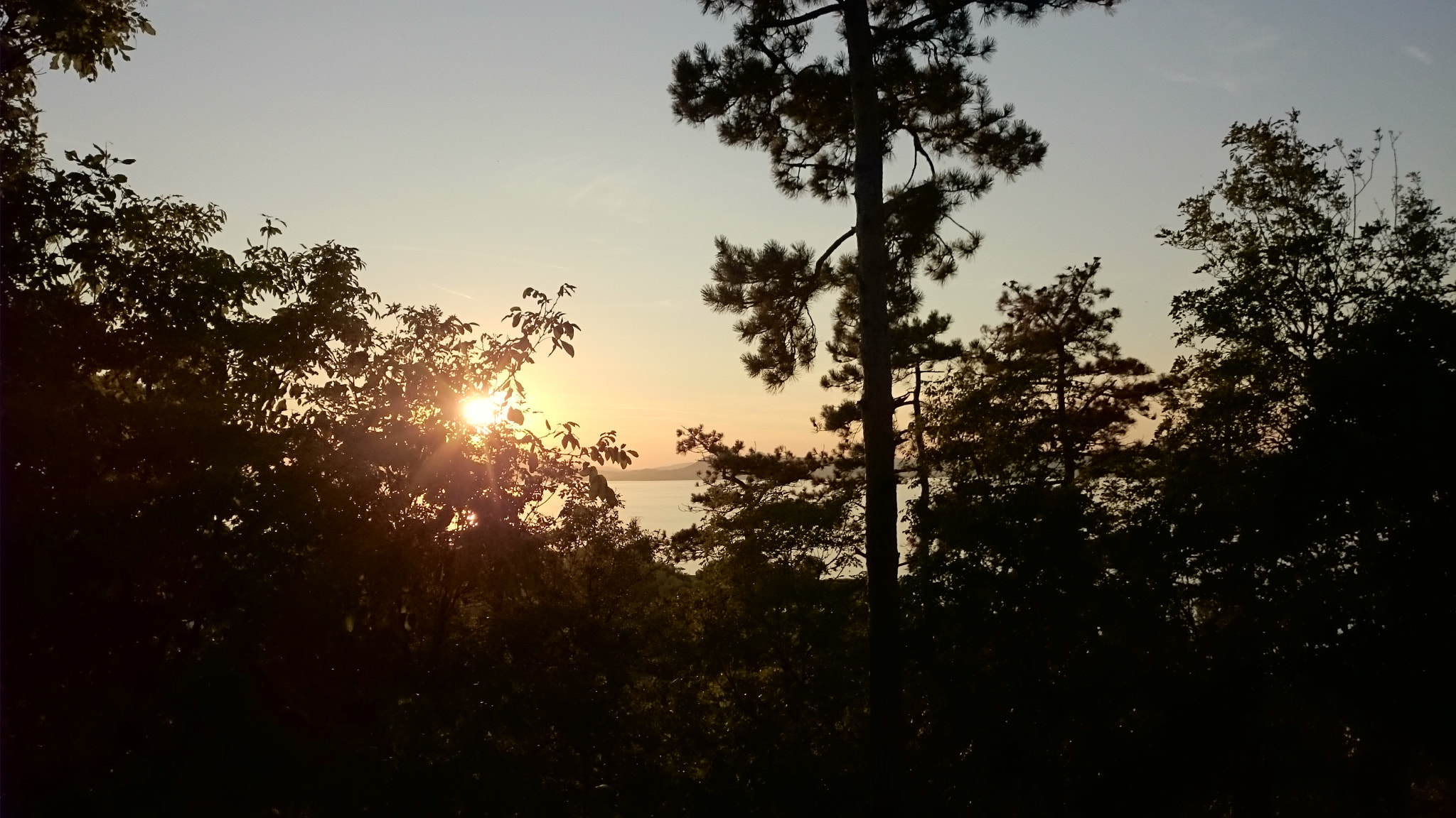 Sony Xperia Z1 Compact sample photo