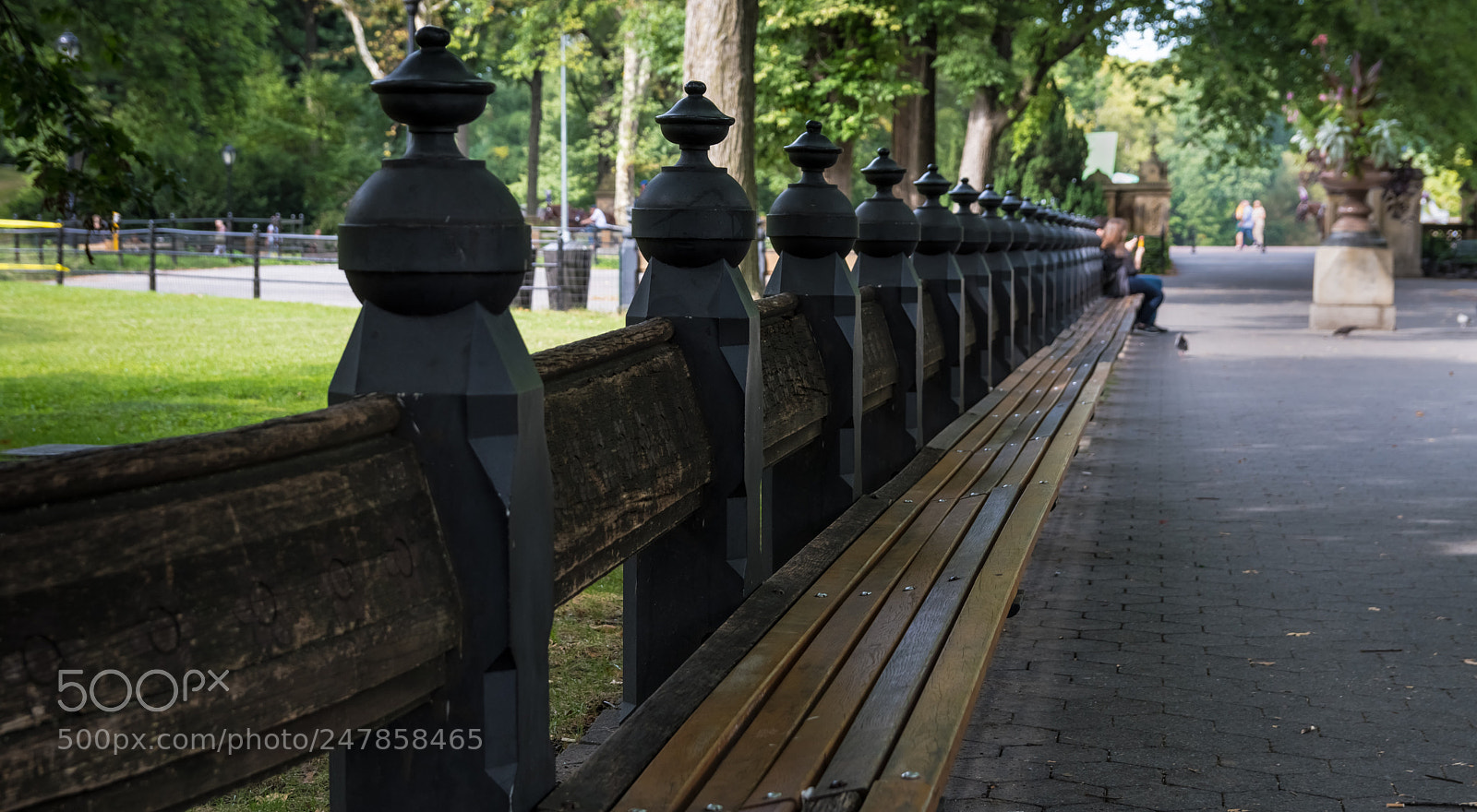Nikon D500 sample photo. Newyork centralpark photography