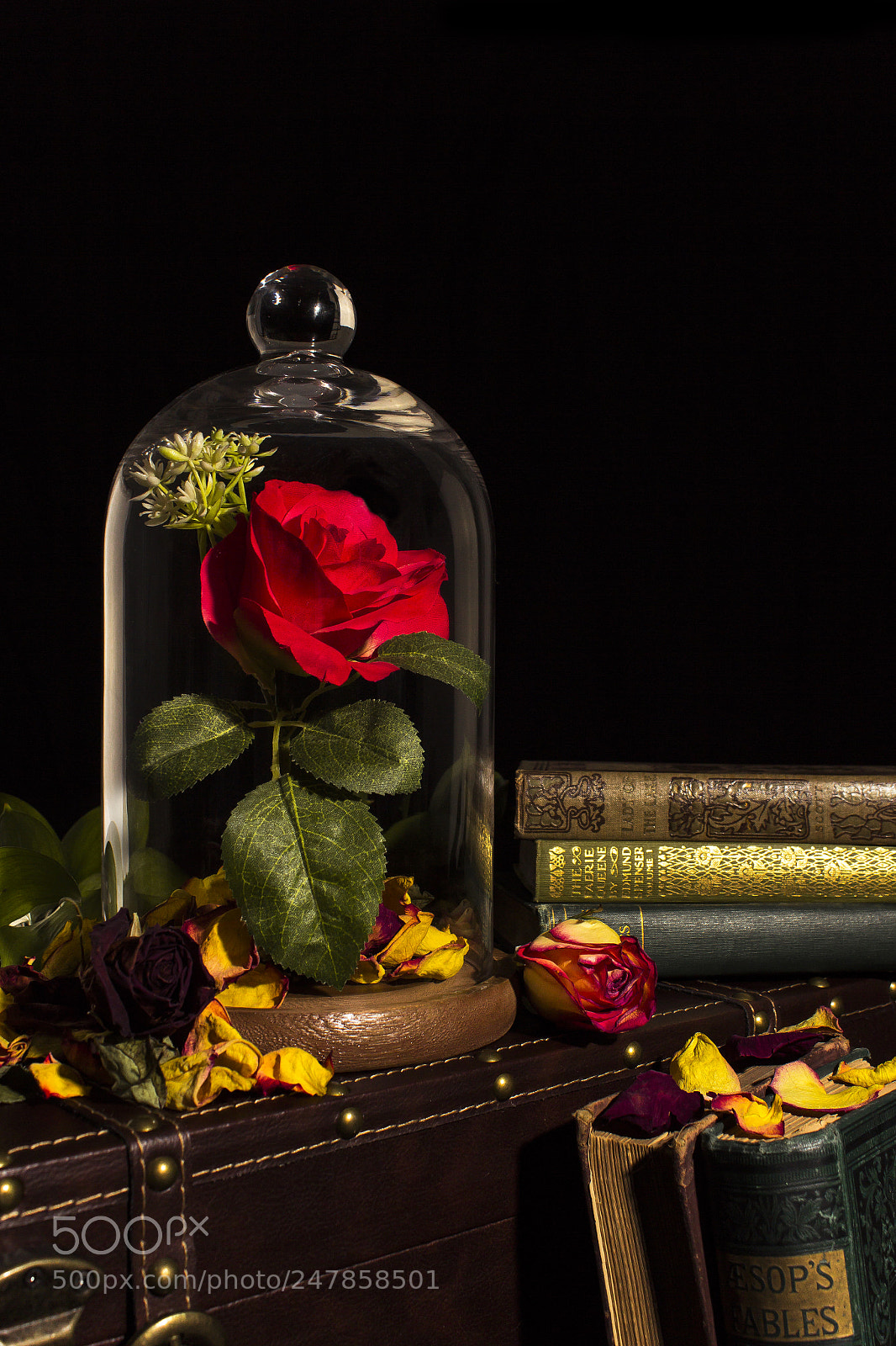 Canon EOS 600D (Rebel EOS T3i / EOS Kiss X5) sample photo. Picture of a bedtime photography