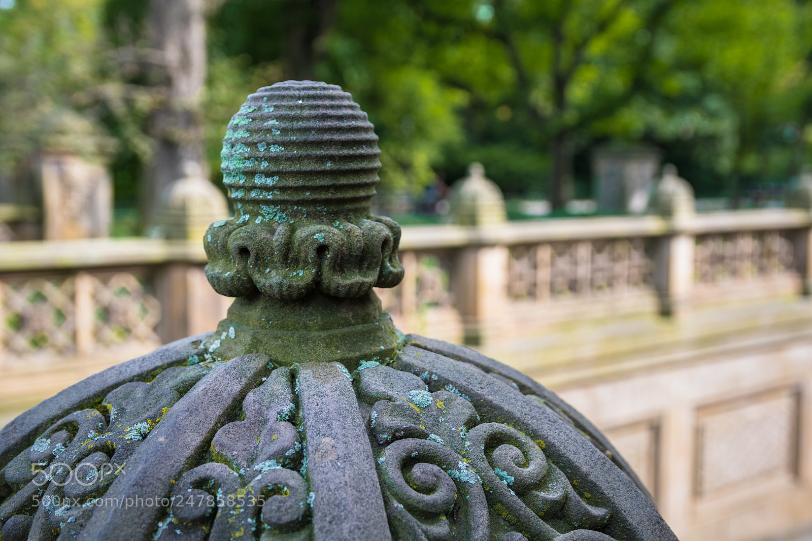 Nikon D500 sample photo. Newyork centralpark photography