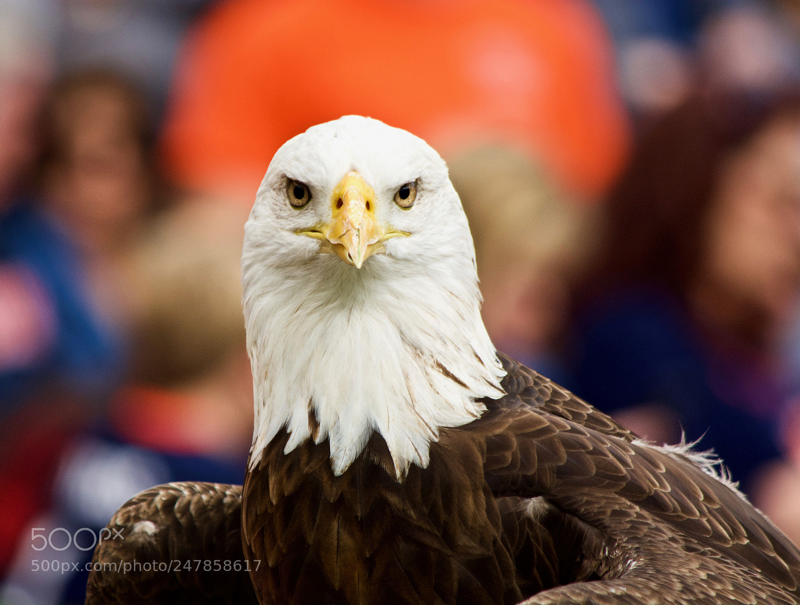 Nikon D5200 sample photo. A spirit not afraid photography