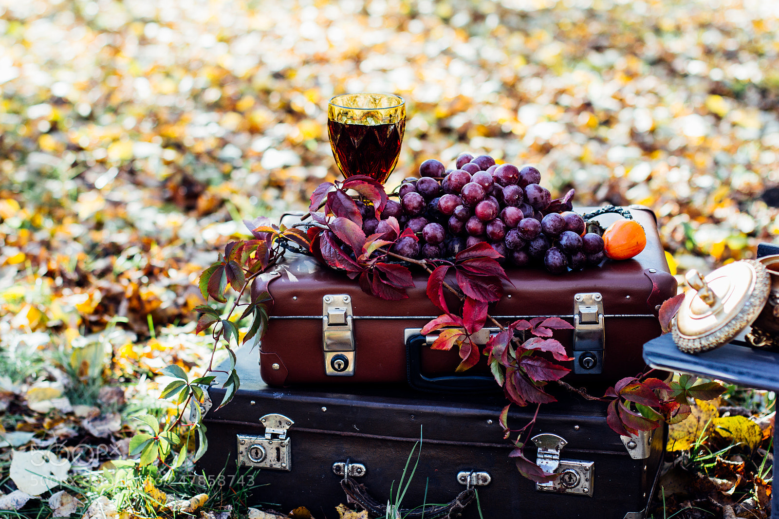 Canon EOS 600D (Rebel EOS T3i / EOS Kiss X5) sample photo. Red wine glass and photography