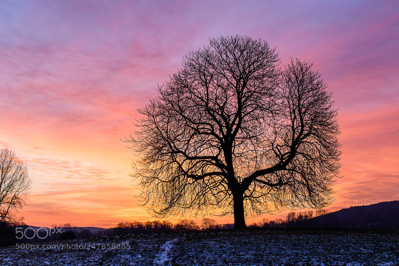 Nikon D500 sample photo. Kurz vor sonnenaufgang photography