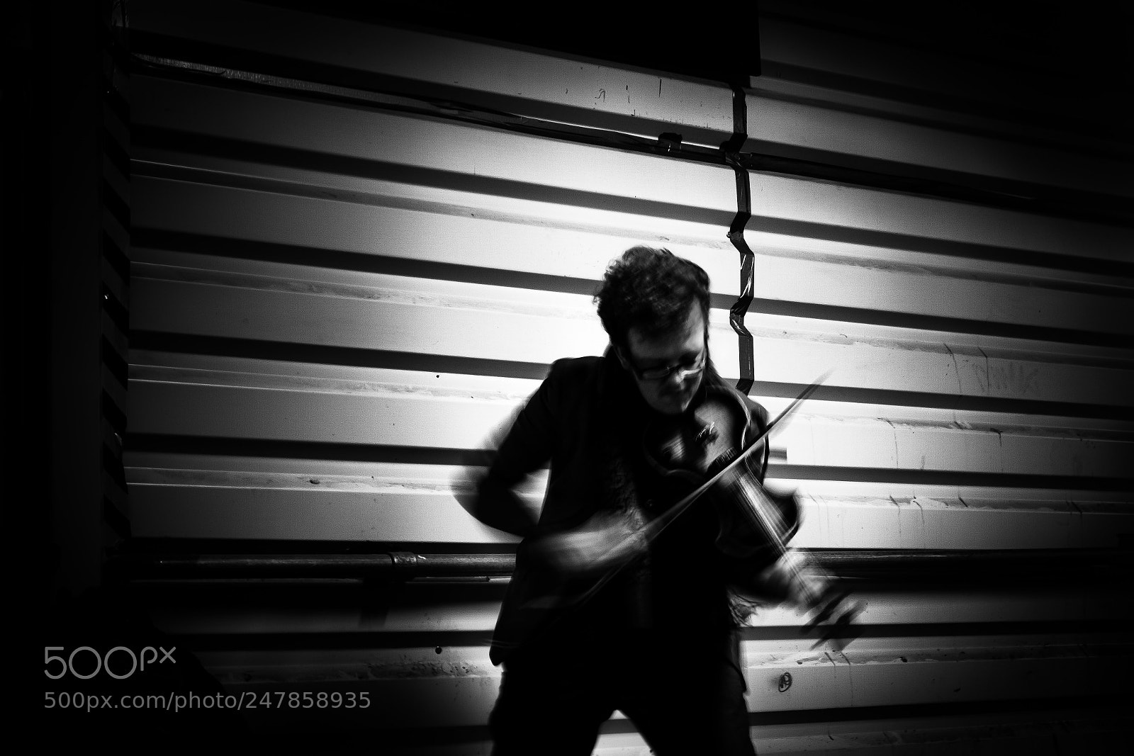 Fujifilm X-T20 sample photo. The fiddler photography