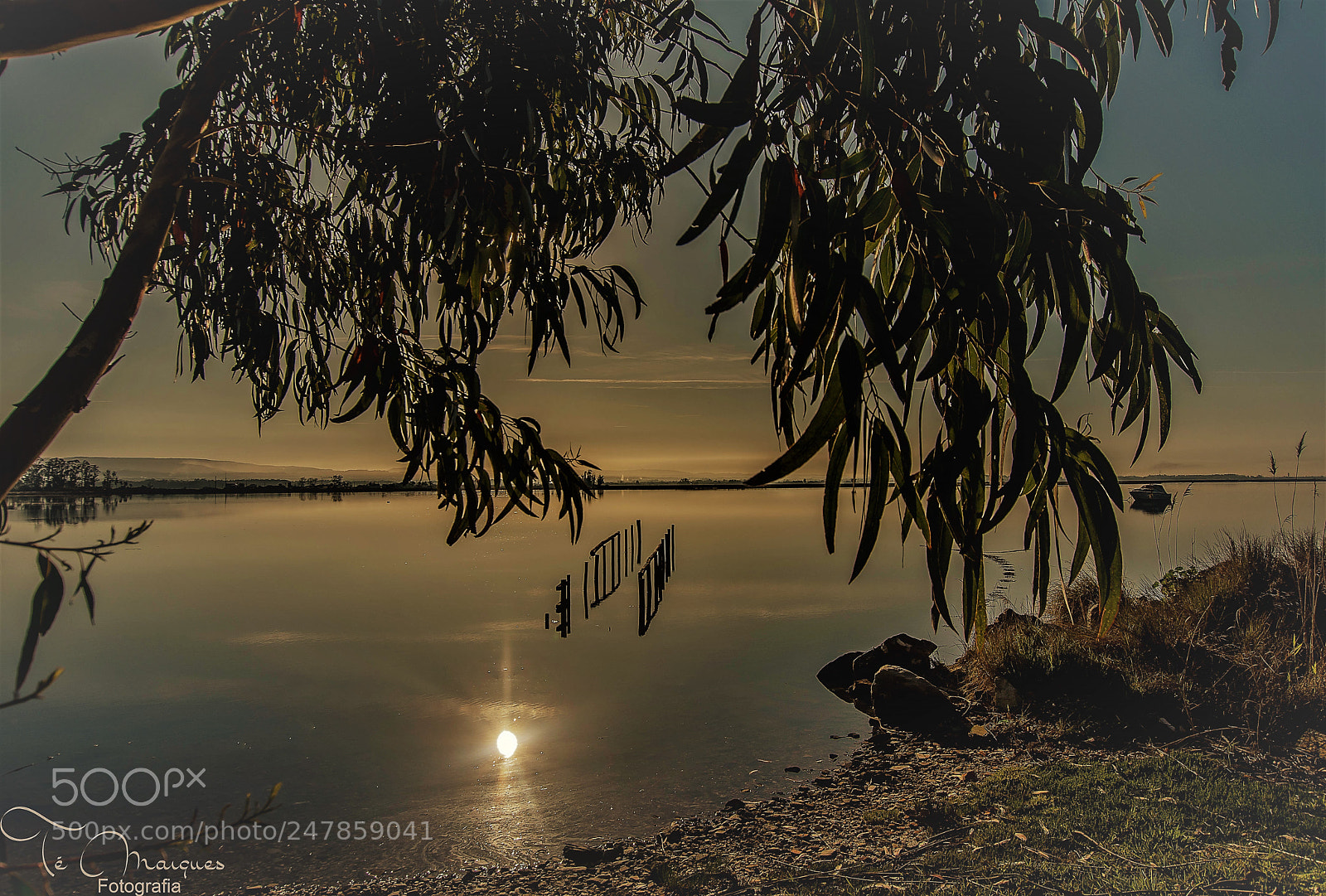 Nikon D7200 sample photo. Morning star photography
