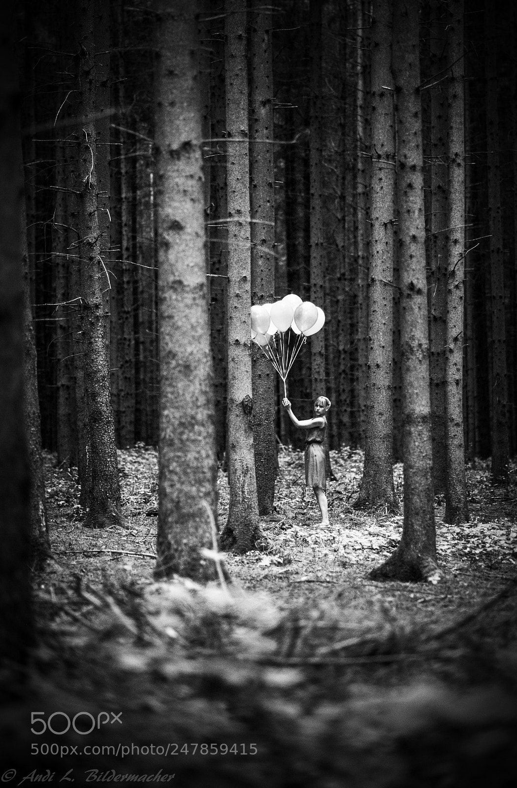 Nikon D700 sample photo. Die gedanken sind frei............oder photography