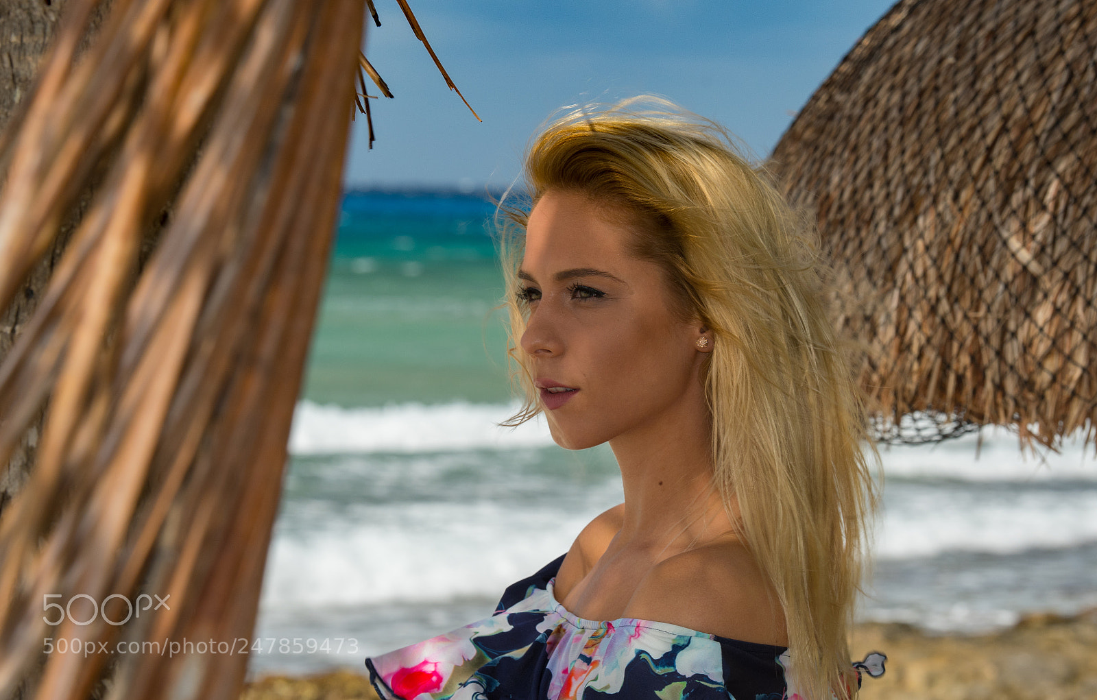 Nikon D500 sample photo. Roxi photography