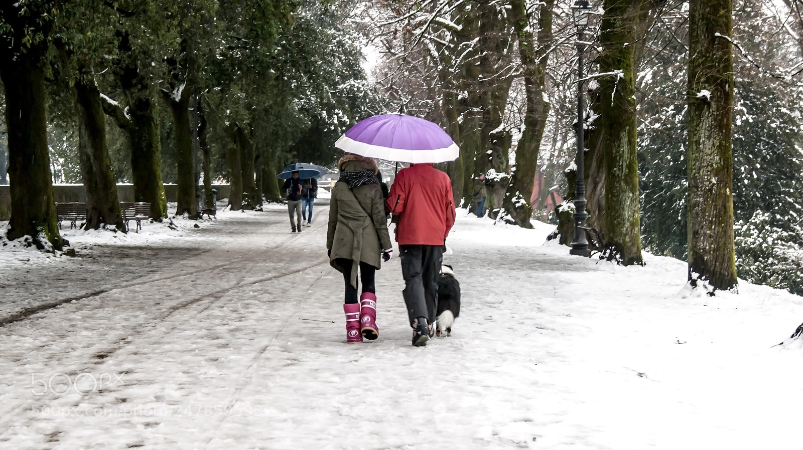 Sony Alpha DSLR-A380 sample photo. Winter walks photography