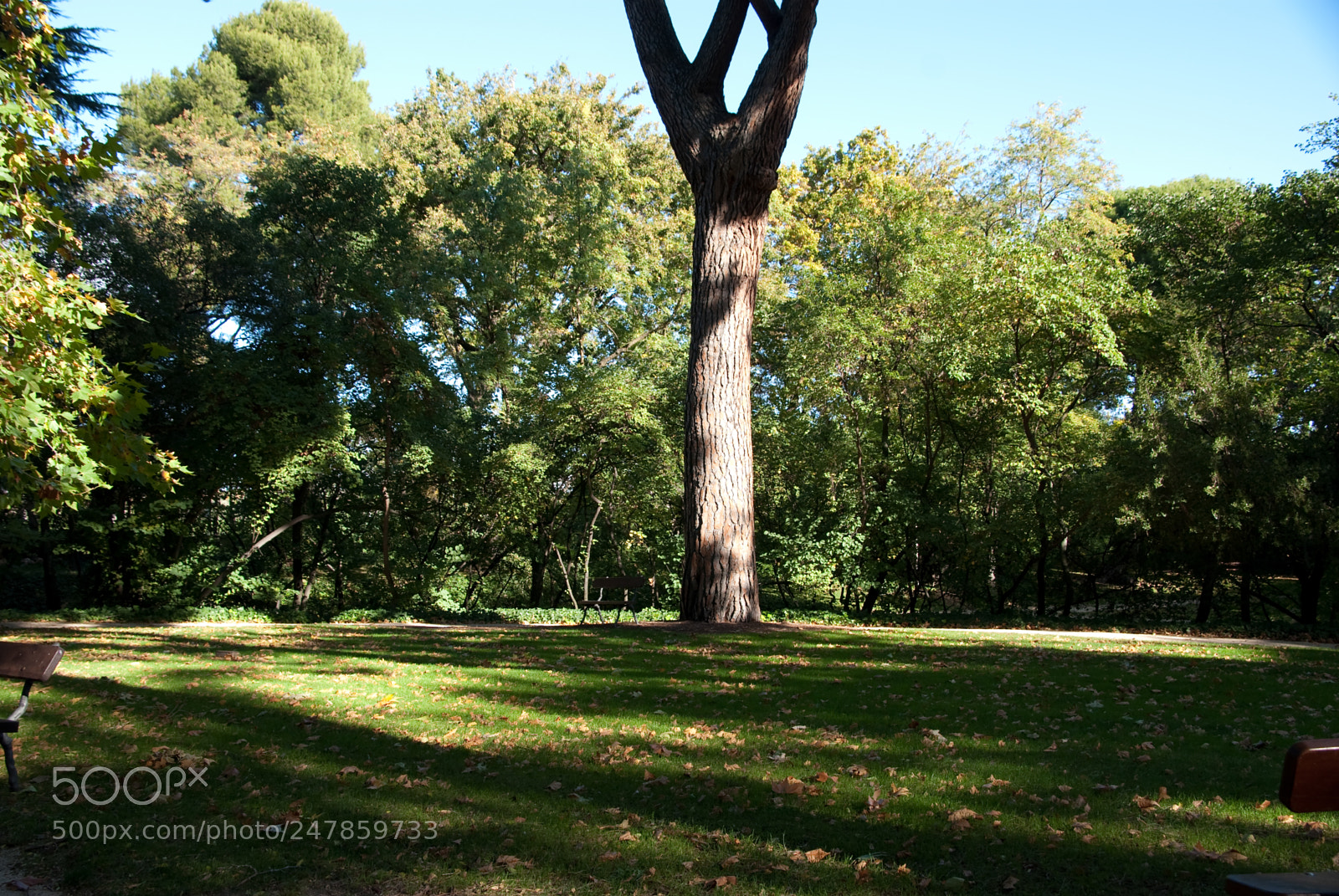 Nikon D80 sample photo. Parque el capricho photography